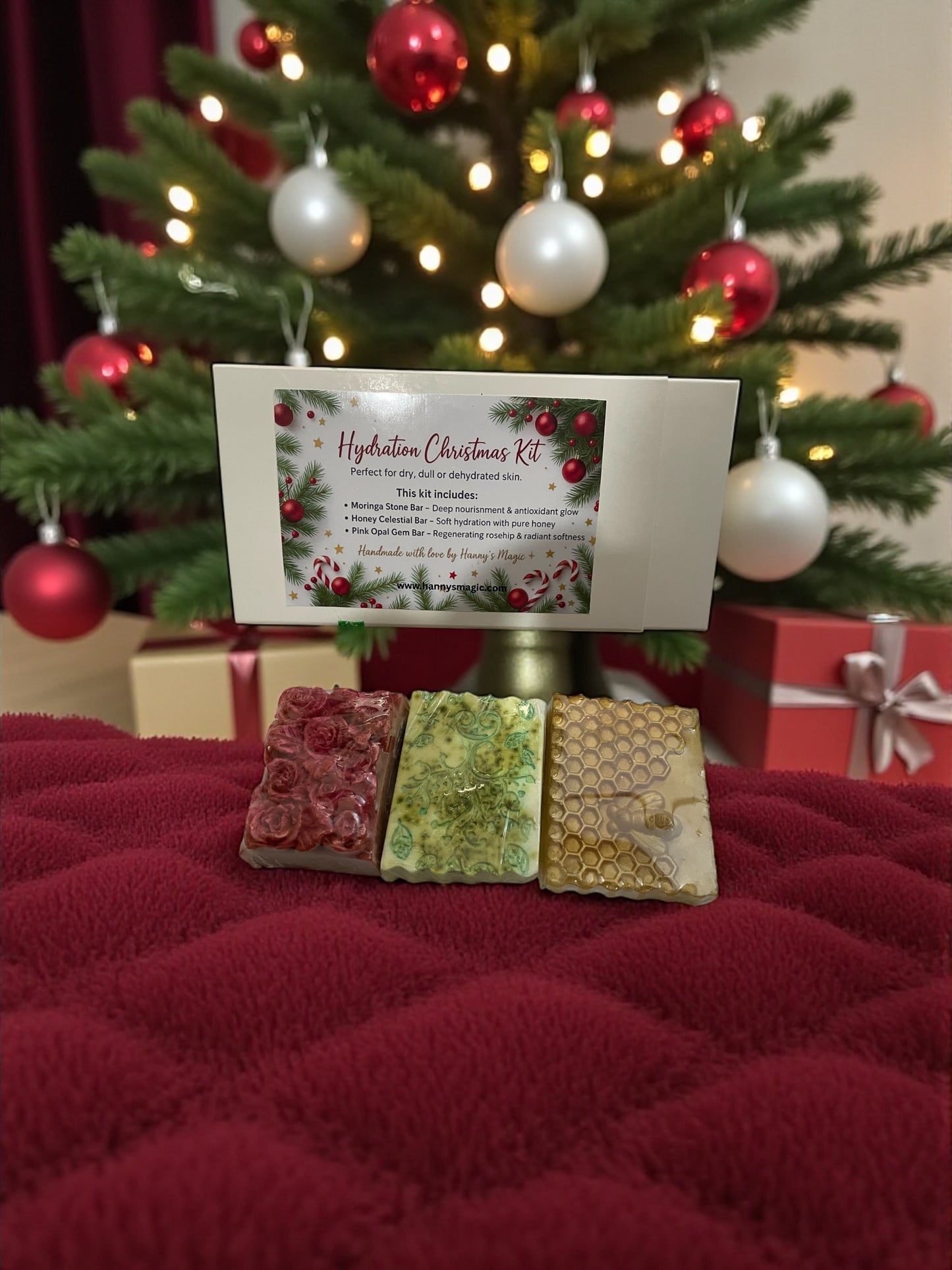 Hydration Christmas Kit