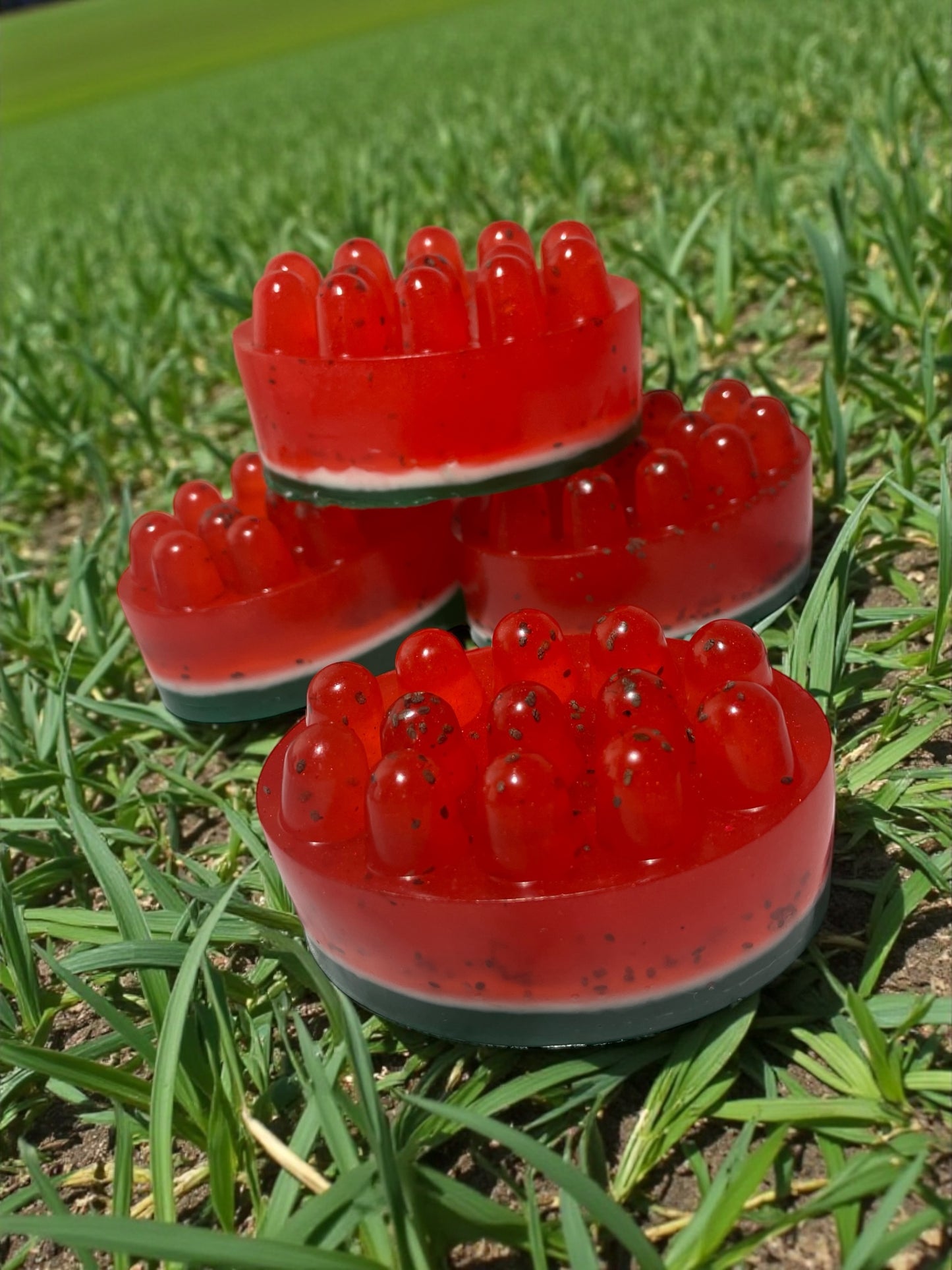 Watermelon Soap Bar: Hydrating Chia, Jojoba, and Aloe Vera