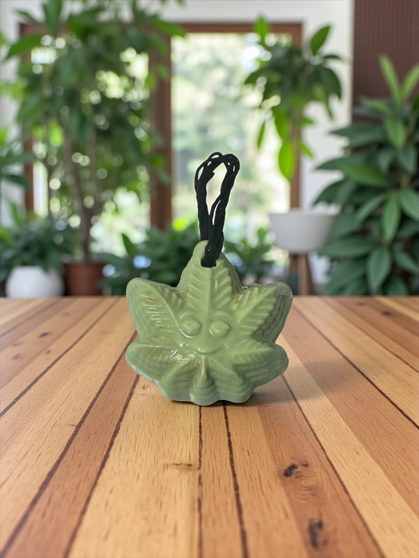 Handmade Green Leaf Soap | Neem & Aloe, Citrus Exfoliating Soap