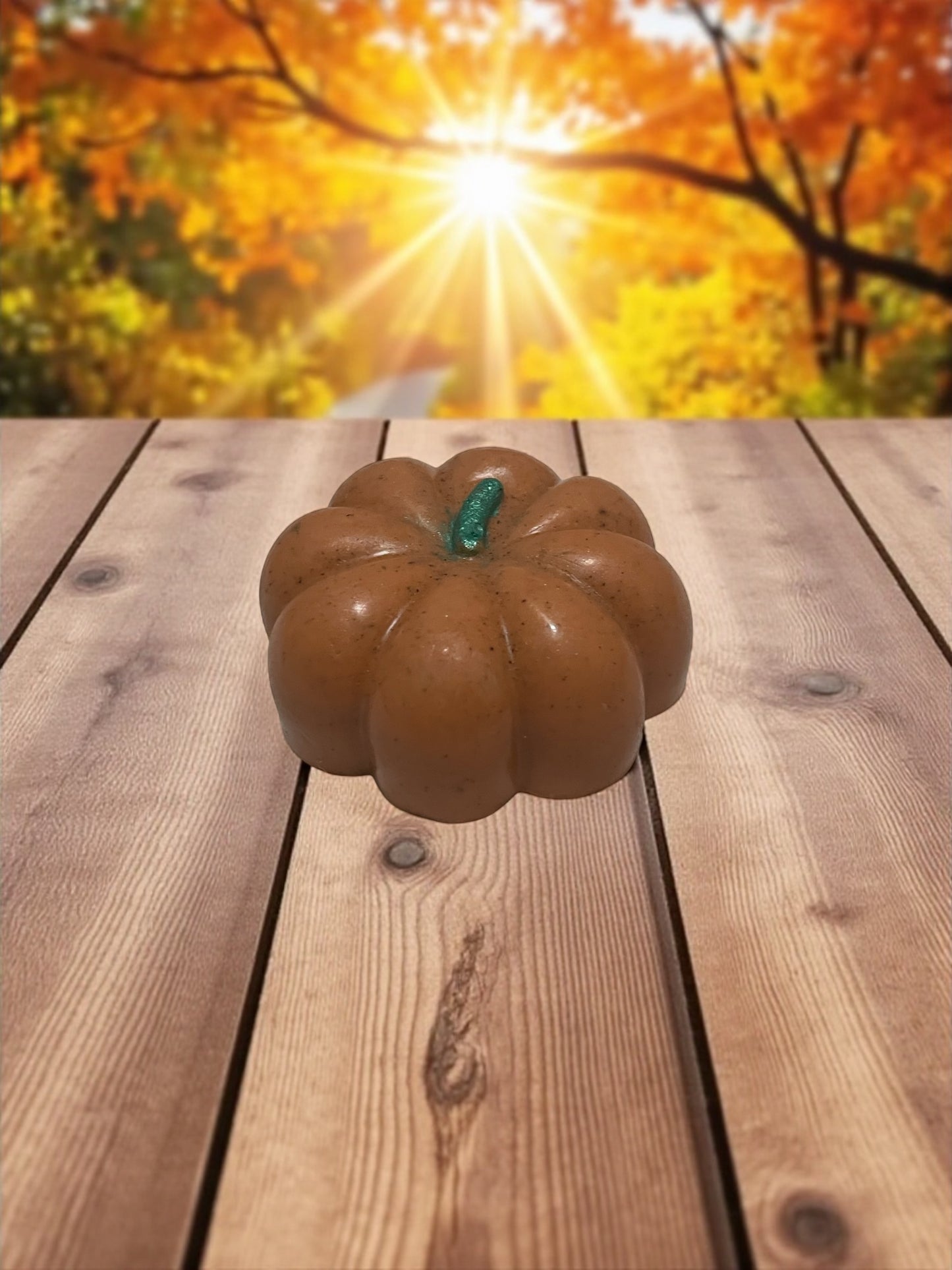 Handmade Pumpkin Spice Soap Bar: Shea Butter, Cinnamon & Coconut Oil