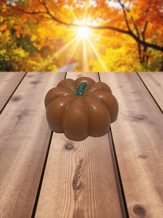 Handmade Pumpkin Spice Soap Bar: Shea Butter, Cinnamon & Coconut Oil