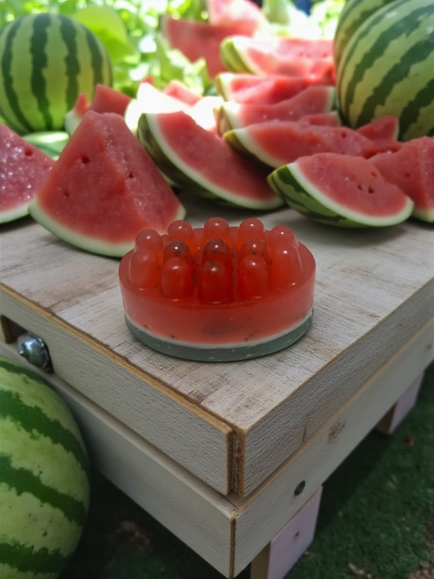 Watermelon Soap Bar: Hydrating Chia, Jojoba, and Aloe Vera